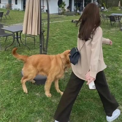 母亲的梦想